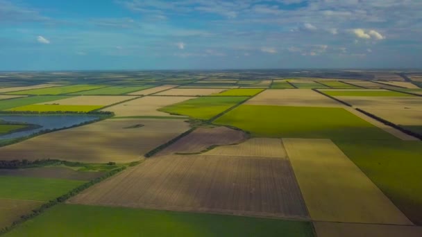 Létání nad zemědělskými poli — Stock video