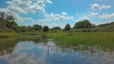 Ağaçları ve çalıları olan yaz nehri. Yaz manzaralı hava manzarası.