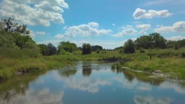 Ağaçları ve çalıları olan yaz nehri. Yaz manzaralı hava manzarası.