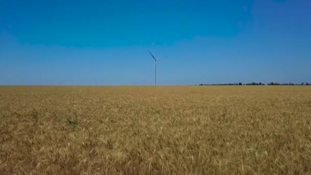 Flygfoto av väderkvarnar roterar av kraften i vinden och generera förnybar energi. 4K — Stockvideo