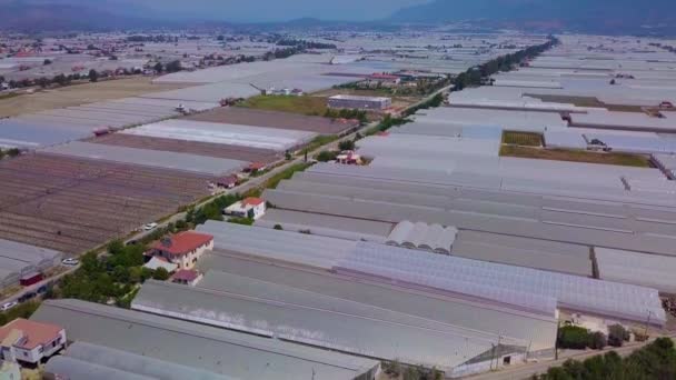 Aerial view of greenhouses.Turkey. — Stock Video