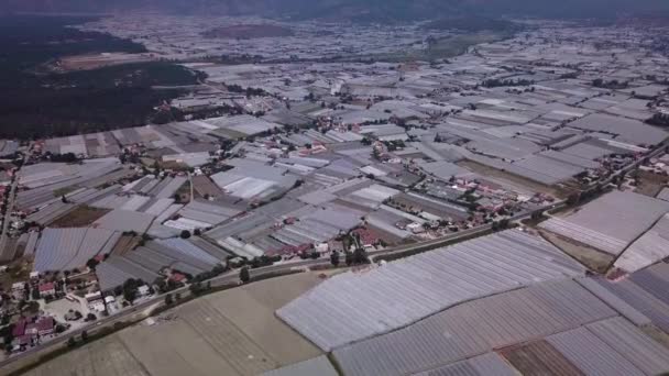 Vista aérea de greenhouses.Turkey. — Vídeo de stock