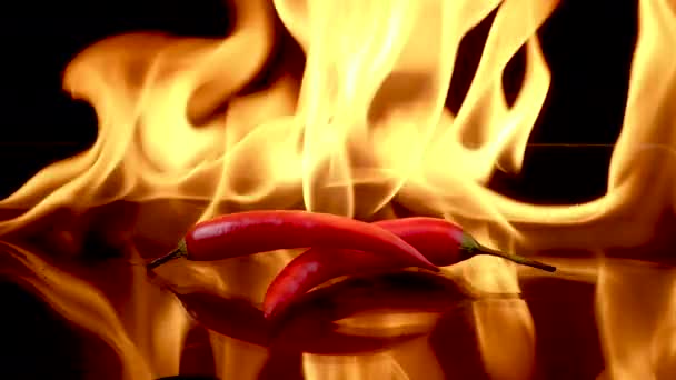 Ardei iute roșu fierbinte în flăcări arde — Videoclip de stoc