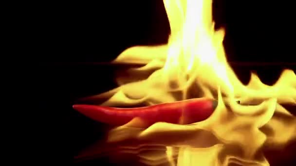 Piment rouge chaud en flammes — Video