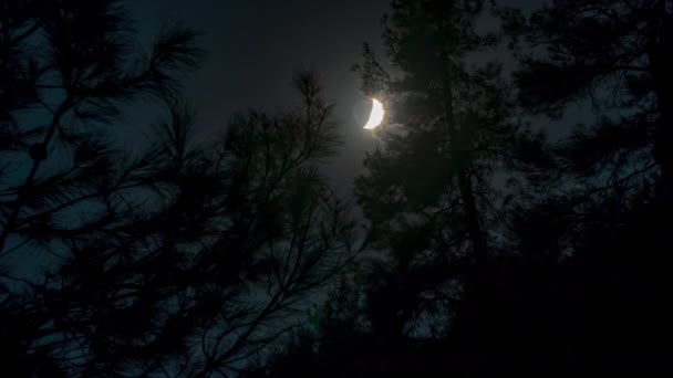 Timelapse de la lune en mouvement dans le ciel nocturne — Video