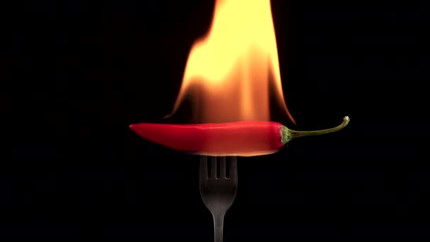 Pimenta vermelha quente em um garfo em chamas queimadura — Vídeo de Stock