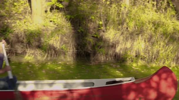 Ковбой в каноэ плавает по реке — стоковое видео
