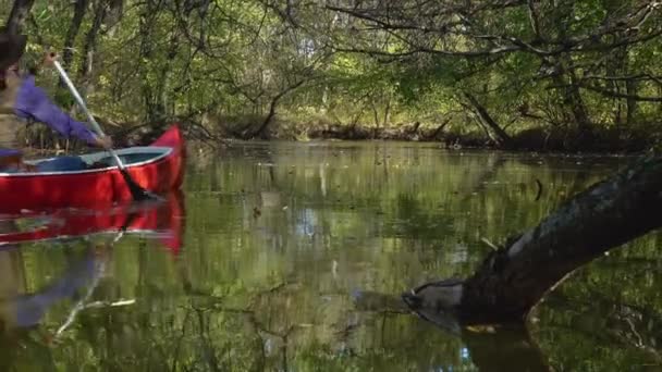 Cowboy em uma canoa flutua no rio na floresta — Vídeo de Stock