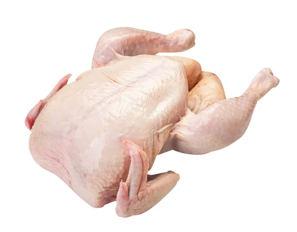 Beyaz arka planda çiğ taze tavuk. 