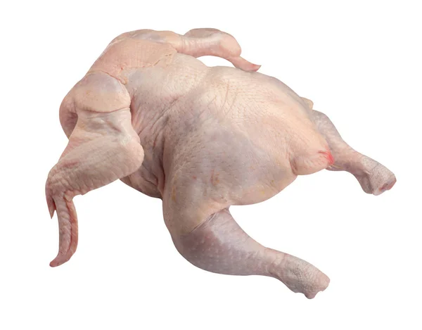 Surowy świeży kurczak izolowany na białym tle — Zdjęcie stockowe