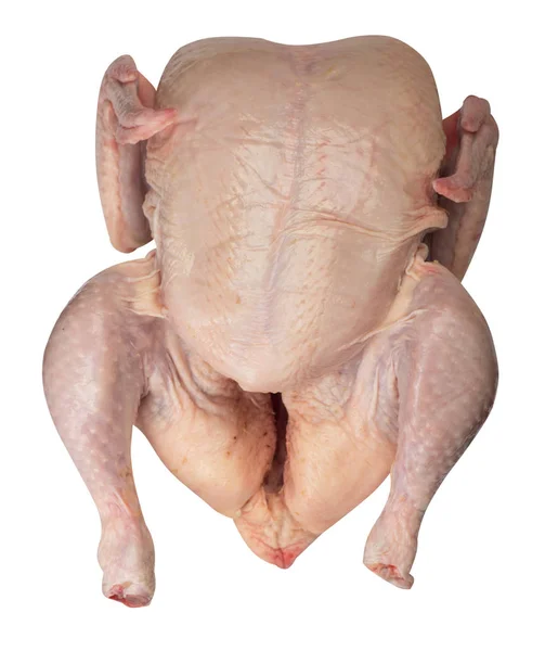 Raw fresh chicken isolated on white background — Stock Photo, Image