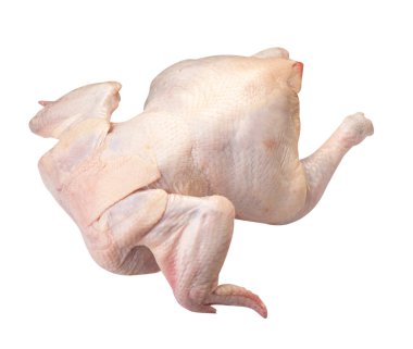 Beyaz arka planda çiğ taze tavuk. 