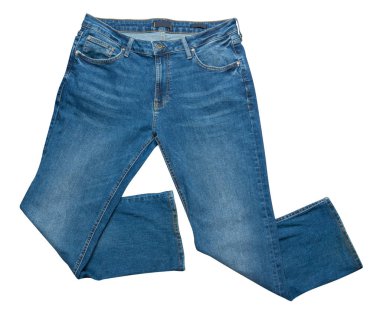 Beyaz arka plan üzerinde izole kot. Güzel kot 