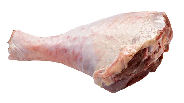 Barbatana de peru crua e fresca, baqueta, isolada sobre fundo branco — Fotografia de Stock