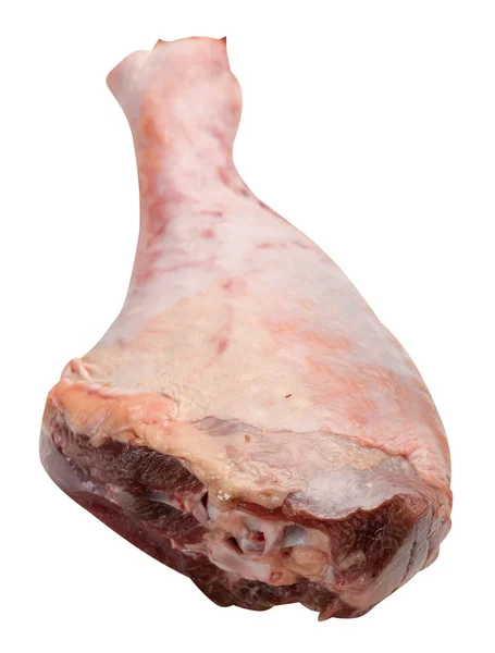 Syrové, čerstvé Turecko holeň, stehno, izolované na bílém pozadí — Stock fotografie