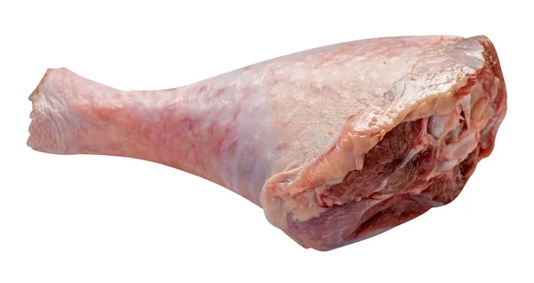 Ham, taze Türkiye shin, baget, beyaz arka plan üzerinde izole — Stok fotoğraf