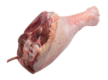 Ham, taze Türkiye shin, baget, beyaz arka plan üzerinde izole
