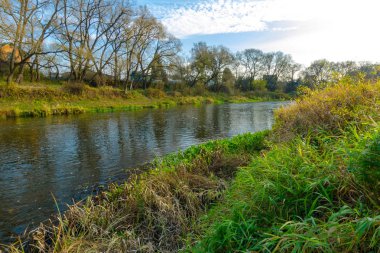 Sonbaharda nehir. Belarus 'ta sonbahar manzarası. Nat' in güzelliği.
