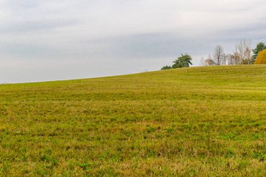 Bac 'taki genç ekinler ve ormanlarla sonbaharda kırsal alanlar