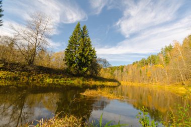 B 'de parlak sarı yapraklı sonbahar su manzarası