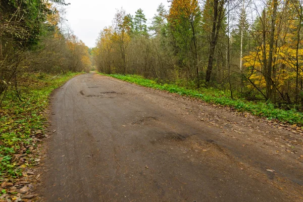 Vidéki út az őszi erdőben. a távolba vezető út — Stock Fotó