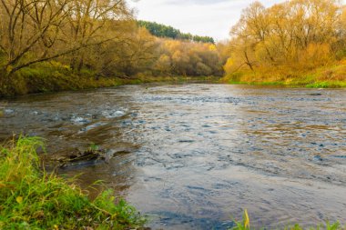 Sonbahar manzarası. Sonbahar ormanında nehir  