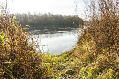   Sonbahar ormanında gün batımında nehir. Nehir dibe gidiyor.