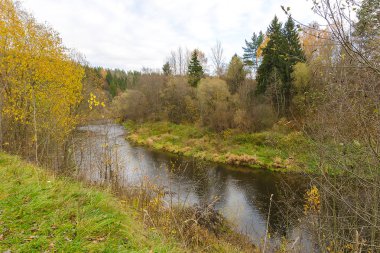 Sonbahar ormanlarındaki nehir kıyıdan görünüyor. Beyaz Rusya 'nın doğası