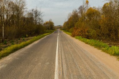 Sonbahar ormanında asfalt yol. Sonbahar arkaplanı. Ülke r