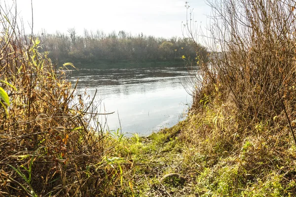   Sonbahar ormanında gün batımında nehir. Nehir dibe gidiyor.