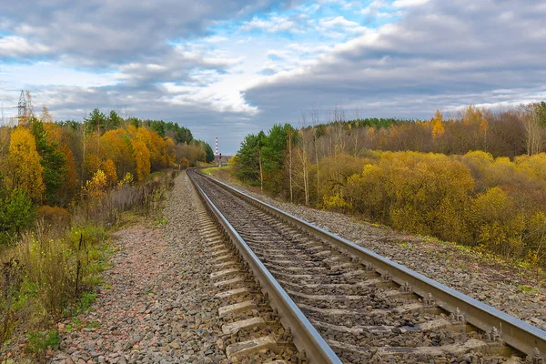 푸른 하늘 아래 숲 사이 철도 — 스톡 사진