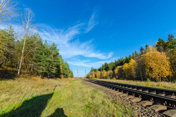 철로는 가을 숲에 있습니다. 가을 전야 철도 — 스톡 사진