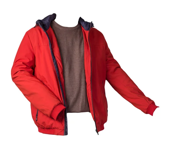 Czerwona Kurtka Brązowy Sweter Odizolowane Białym Tle Bologna Kurtka Wełniany — Zdjęcie stockowe