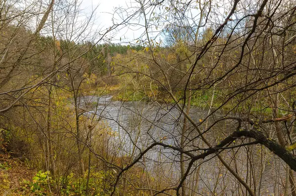 Rivière Dans Forêt Automne Paysage Avec Rivière Forêt Jour Automne — Photo