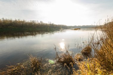 Sonbahar manzarası. Sonbahar ormanında gün batımında nehir. Nehir uzaklaşıyor.