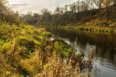 Sonbahar manzarası. Sonbahar ormanında gün batımında nehir. Nehir uzaklaşıyor.