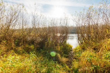 Sonbahar ormanındaki nehir. Sonbahar manzarası