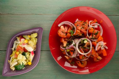 Vejetaryen yemeği. Domates, soğan, yeşil ahşap arka planda kırmızı tabakta rezene. sağlıklı yiyecekler