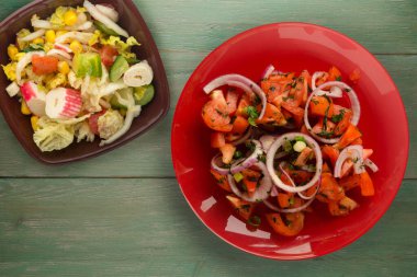 Vejetaryen yemeği. Domates, soğan, yeşil ahşap arka planda kırmızı tabakta rezene. sağlıklı yiyecekler