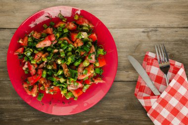Çatal ve bıçaklı vejetaryen yemeği. Domates, soğan, kırmızı tabakta rezene kahverengi ahşap arka planda. sağlıklı yiyecekler