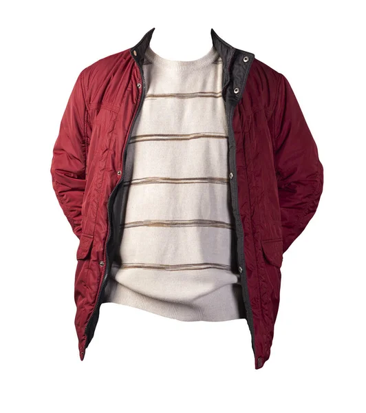 Jaqueta Vermelha Camisola Marrom Bege Isolado Revestimento Background Bologna Branco — Fotografia de Stock