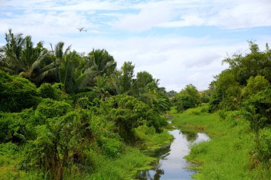 Sri Lanka'da nehir üzerinde uçak