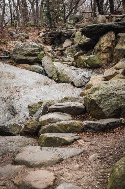 Sonbahar renkleri altında ilkbaharda New York Central Park ormanda Doğal taş yol