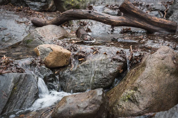 Μίνι φυσικός καταρράκτης στα βράχια στα δάση του Σέντραλ Παρκ στη Νέα Υόρκη — Φωτογραφία Αρχείου