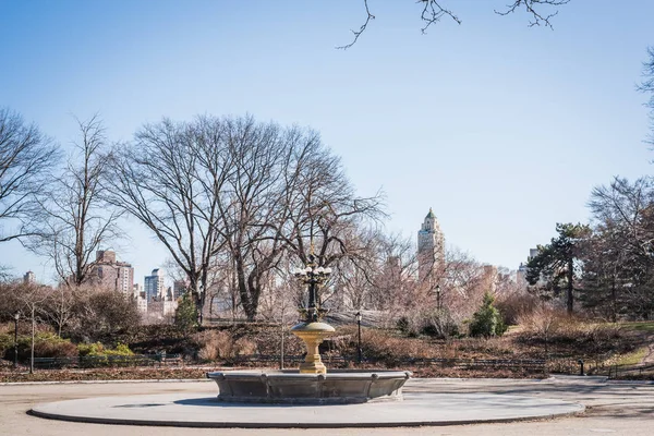 Central Park'ın dibindeki çeşme manzarası ile ağaçların dalları kış sonu yaprakları olmadan