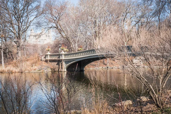Geç kış yapraksız dalları ile Lake Bow Köprüsü manzara