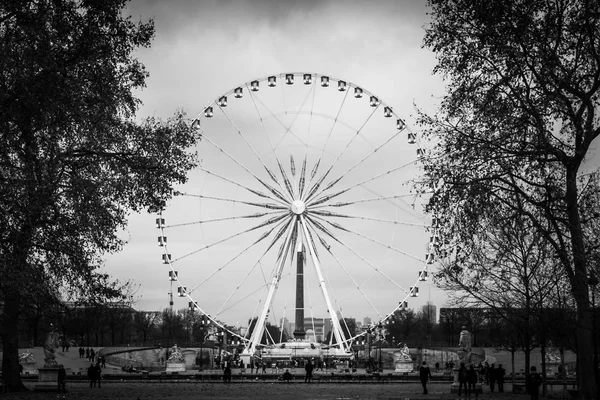 Paysage de l'allée centrale du Jardin des Tuileries sur la grande roue de la Place de la Concorde en noir et noir à Paris — Photo