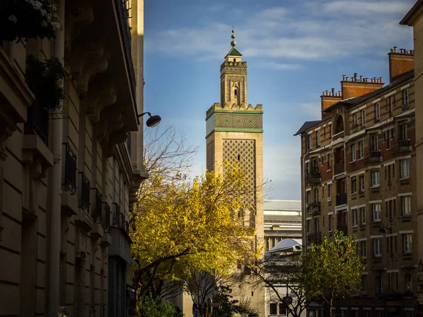5. arrondissement binaları arasında Paris Ulu Camii bakan Paris manzara