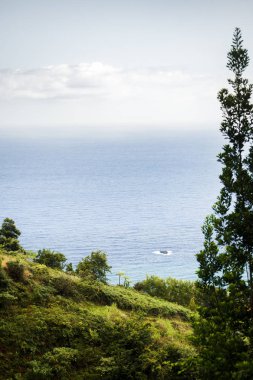 Uçurumun tepesinden denize bak