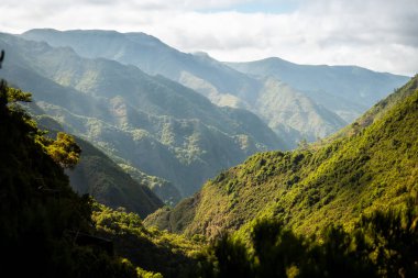 Günün sonunda dağ bezi